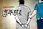 ডিএমপির অভিযানে গ্রেফতার ২৯