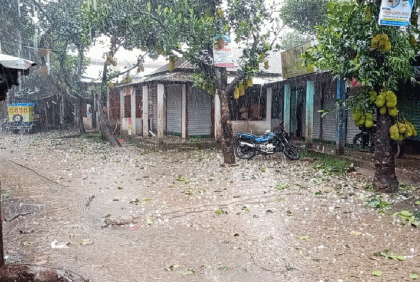 সিলেটে বোরো ধানের ক্ষতি ও বন্যার শঙ্কা, আতঙ্কে মানুষ

