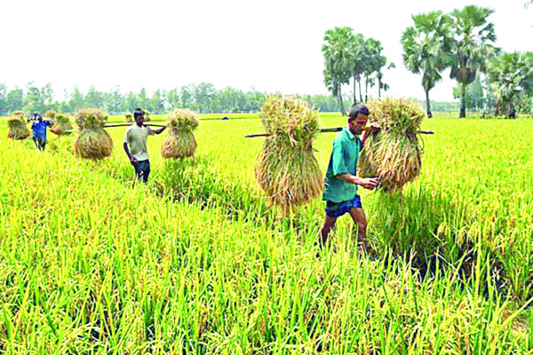 কৃষিজমি সুরক্ষায় নতুন আইন