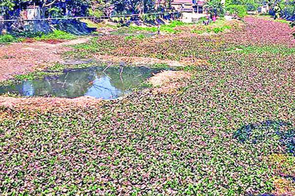 তুলশীগঙ্গা যেন ময়লার ভাগাড়