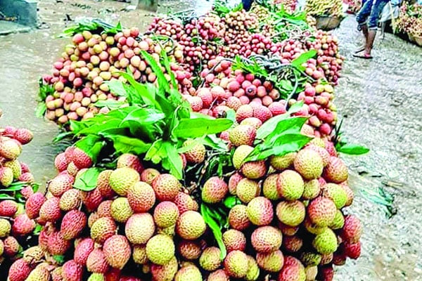 জমতে শুরু করেছে মৌসুমি ফলের হাট