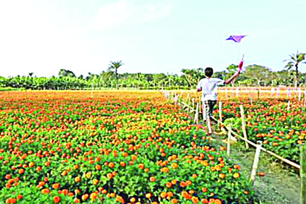 ফুলের গ্রাম সাবদী