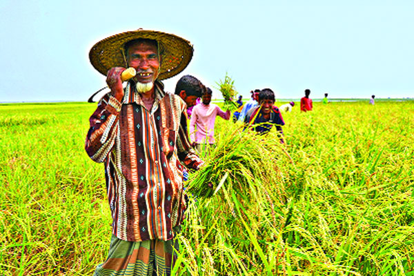 কৃষকরাও পাবেন এআইপি সম্মাননা