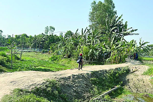 নদী ভরাট করে রাস্তা