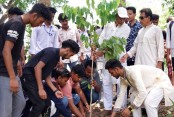 মোরেলগঞ্জে ছাত্রলীগের উদ্যোগে বৃক্ষরোপণ

