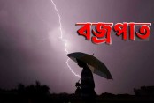 ধান কাটতে গিয়ে বজ্রপাতে প্রাণ হারালেন কৃষক