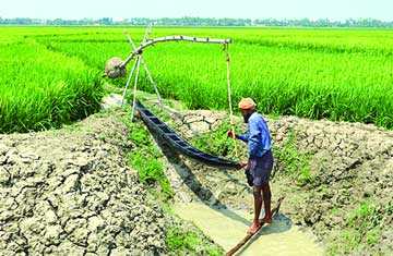 বিদ্যুৎ সংকটে বিপদে নওগাঁর কৃষক
