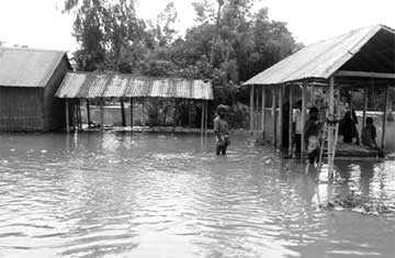 তিস্তার পানি কমলেও বাড়ছে দুর্ভোগে