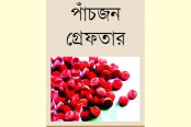 থার্টিফার্স্টে রাজধানীতে আটক হলো ৮৬ হাজার ইয়াবা