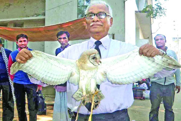 লক্ষ্মীপেঁচা উদ্ধার