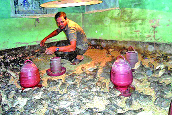 কোয়েল পাখিতে দারিদ্র্য জয়