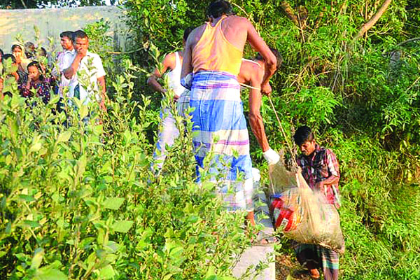 বান্ধবীর নগ্ন ছবি দেখে ফেলায় খুন