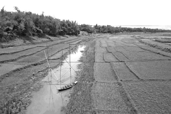 ভরা বর্ষায়ও পানিশূন্য চুয়াডাঙ্গার নদী-নালা