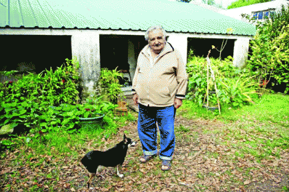 প্রেসিডেন্ট এখন ফুল বিক্রেতা