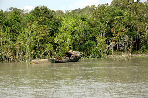 দুই হাজার বছরের পুরনো সভ্যতার খোঁজ সুন্দরবনে!