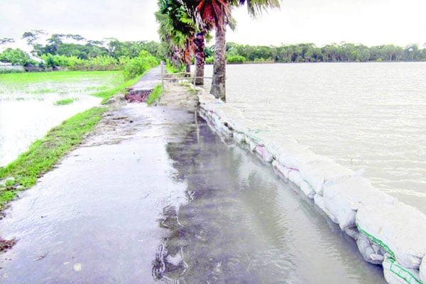 ভাঙনে বন্ধ পাটুরিয়া-দৌলতদিয়া ফেরিঘাট, দুই পাড়ে যানজট