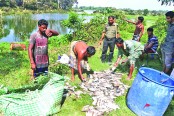 পরিবেশে ভয়ঙ্কর আঘাত