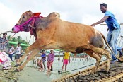 গাবতলীতে নজরকাড়া জর্দান