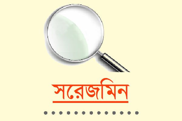 অলি-গলি রাজপথে নির্বাচনী হাওয়া