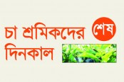 শিক্ষা থেকে বঞ্চিত চা শ্রমিকের সন্তান