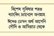 ঠেকানোই যাচ্ছে না রেমিট্যান্সের পতন