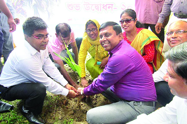 গাইবান্ধায় ১ লাখ তালের চারা রোপণ