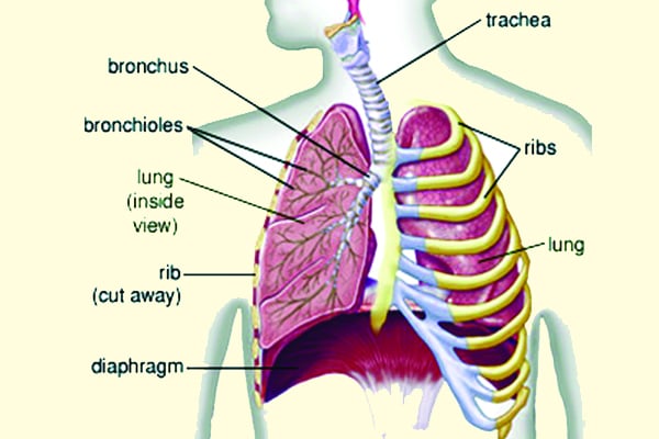 ফুসফুসে বাতাস ঢুকলে করণীয়