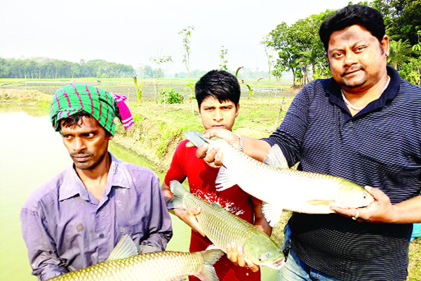 শাওনের খামারে বছরে চার কোটি টাকার মাছ