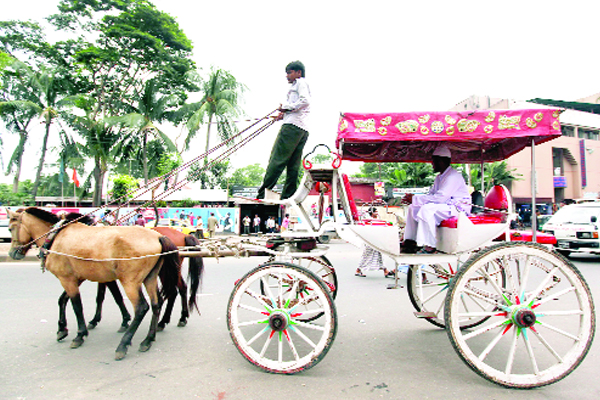 রাজকীয় বাহন টমটম এখন শুধুই শখের