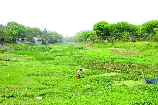 পাবনার সব নদী হারিয়ে গেছে