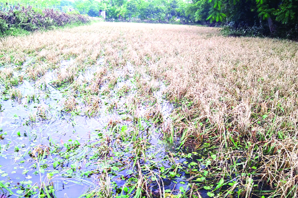 আরও এলাকা তলিয়ে যাওয়ার শঙ্কা