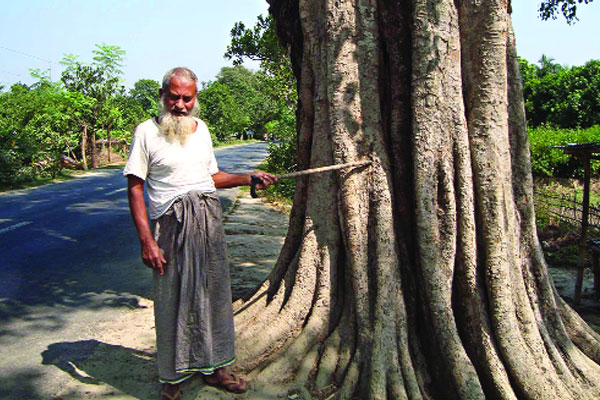 মেহেরপুরে গাছদাদার গাছের গ্রাম