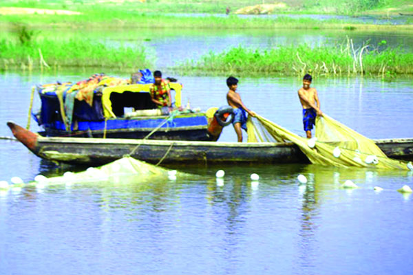 হুমকির মুখে কাপ্তাই হ্রদের মৎস্য সম্পদ, বিলুপ্ত বহু প্রজাতির মাছ