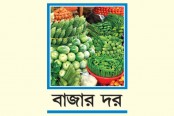 ইলিশ প্রচুর, দামে ক্ষুব্ধ ক্রেতা, চালেও সুখবর নেই