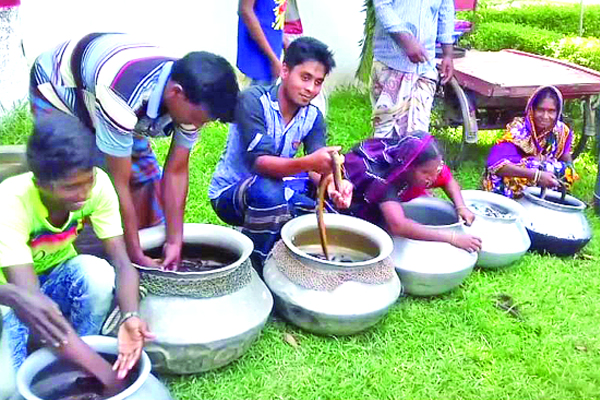 মেহেরপুরের কুঁচিয়া মাছ রপ্তানি হবে বহির্বিশ্বে