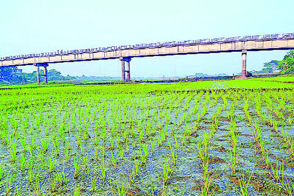 তিতাস একটি ফসলের মাঠ