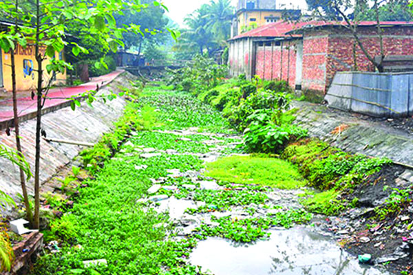 বিপর্যস্ত শ্যামা সুন্দরী খাল