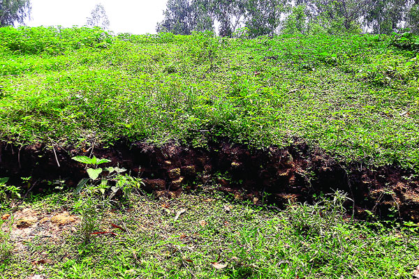 হারিয়ে যাচ্ছে বিরাট রাজার গড়