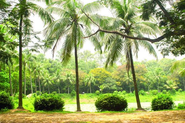 হুমকিতে বোটানিক্যাল গার্ডেন