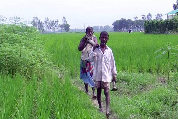 কুমিল্লায় অবৈধ ২০ কিলোমিটার গ্যাস সংযোগ বিচ্ছিন্ন

