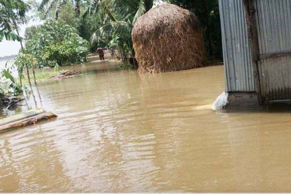 উজানের ঢলে পানি বেড়েছে তিস্তায়, নিম্নাঞ্চল প্লাবিত

