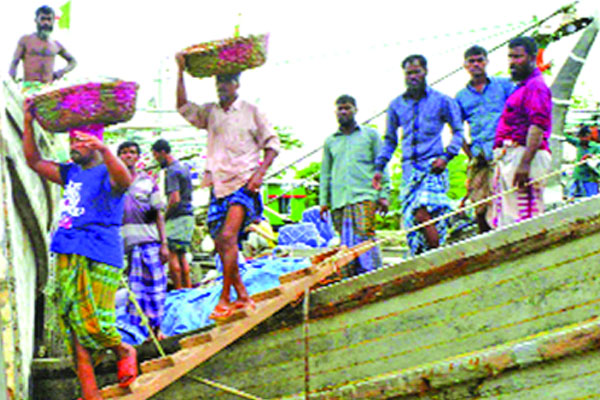 বরিশালে ইলিশবোঝাই ট্রলারের সারি