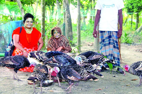 টার্কি পালনে আগ্রহী গ্রামীণ নারীরা