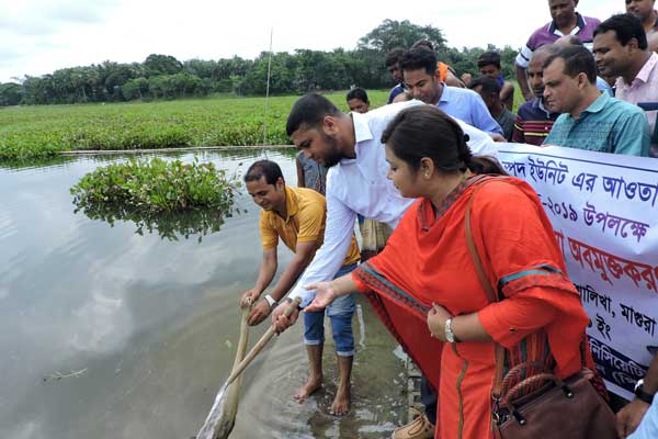 মাগুরায় মাছের পোনা অবমুক্তকরণ 