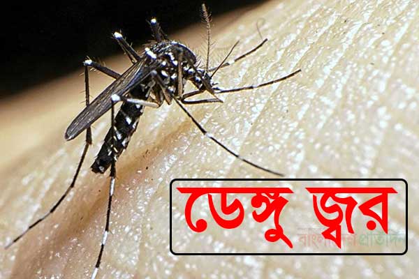 চুয়াডাঙ্গায় তিন নারীসহ সাত ডেঙ্গু রোগী সনাক্ত