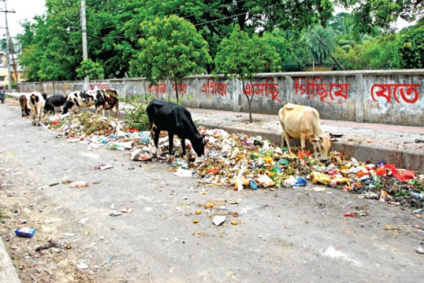 পরিচ্ছন্ন নগরীর সুনাম যাচ্ছে ময়লার ভাগাড়ে