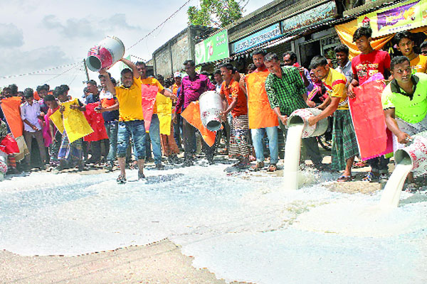 ক্ষোভে-দুঃখে রাস্তায় দুধ ঢেলে দিলেন খামারিরা