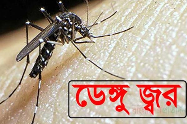 ডেঙ্গুতে এবার প্রাণ গেল দিনাজপুরের রবিউলের