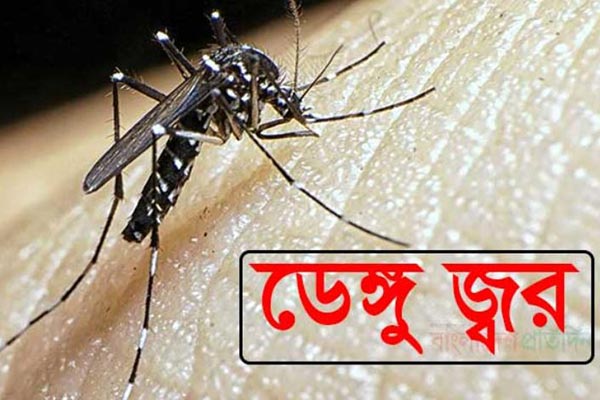 সিরাজগঞ্জে ২৪ ঘণ্টায় হাসপাতালে ভর্তি ১৬ ডেঙ্গু রোগী