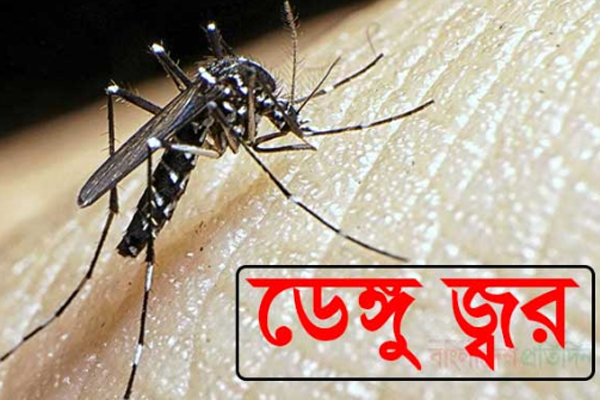 ডেঙ্গু রোধে মসিকে ছাড়া হচ্ছে 'মশাভুক মাছ' 

